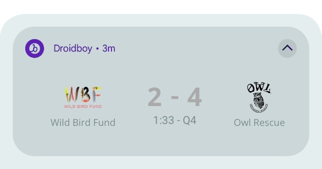 The Live Update that Superb Owl wants to show, displaying an on-going match between 'Wild Bird Fund' and 'Owl Rescue'. It's currently the fourth quarter and the score is 2-4 with OWL in the lead.