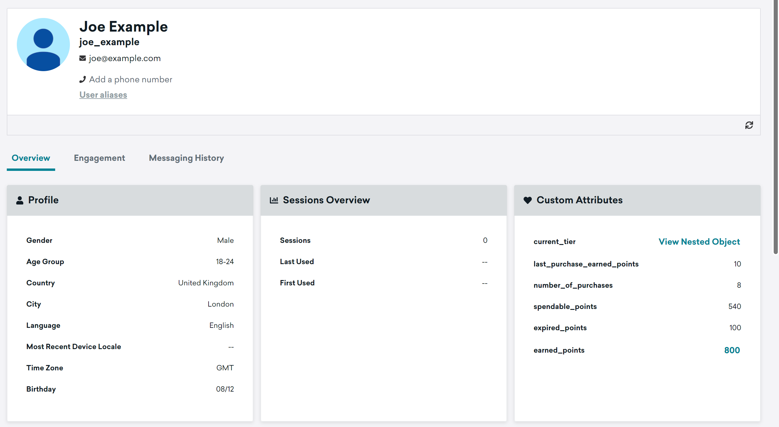 Braze profile showing different custom attributes.