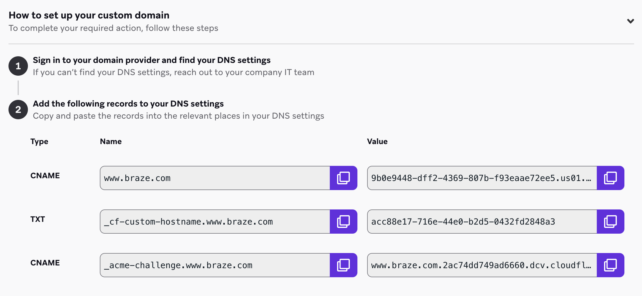 Landing Page Settings page with one TXT and two CNAME records listed with their respective names and values.