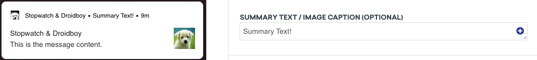 The Expanded notification image section where you can add an image or enter an image URL.