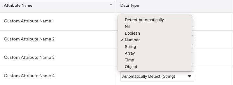 Custom attributes data type dropdown