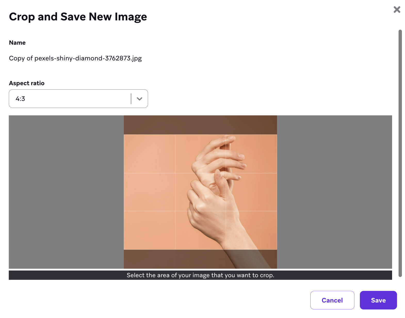 Window to crop and save media library image.